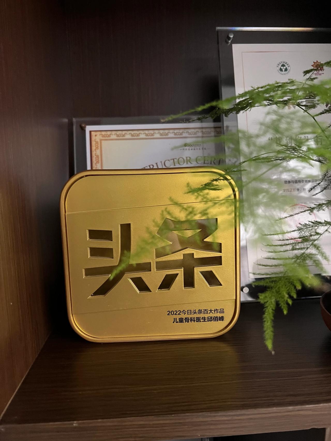 感觉头条的热度有所下降，春节也不再举办鼓励创作者的各种活动了！