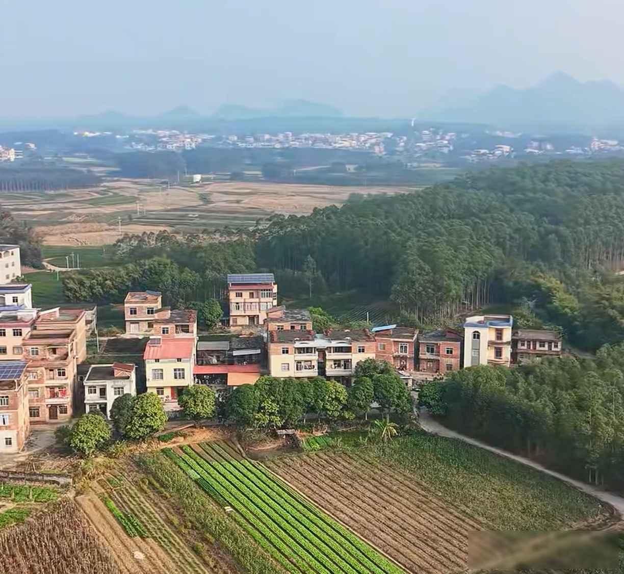 城里人失业怕露宿，农村人有地不怕饿，土地是咱的退路

去年底美国那边闹得挺凶，街