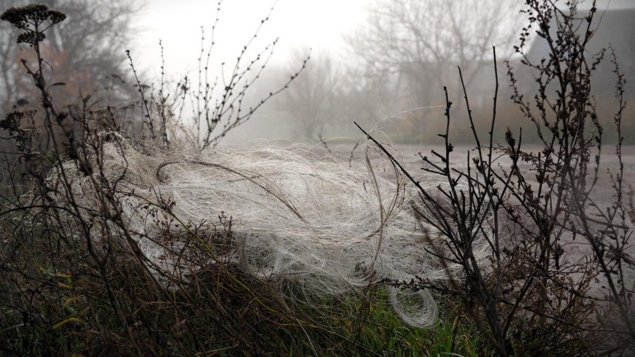 在俄乌战场上，光纤无人机成了“战场新宠”。俄乌双方大量装备光纤FPV无人机，几乎