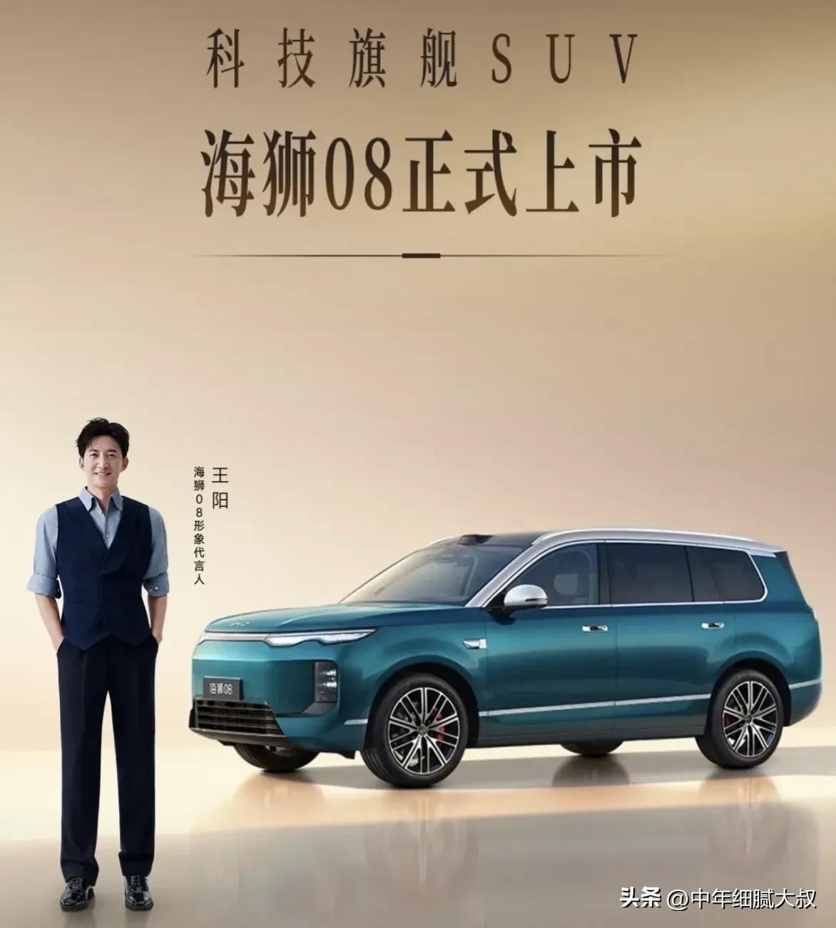 一、比亚迪集团
品牌：比亚迪、腾势、仰望、方程豹等
二、吉利集团
品牌：吉利、极