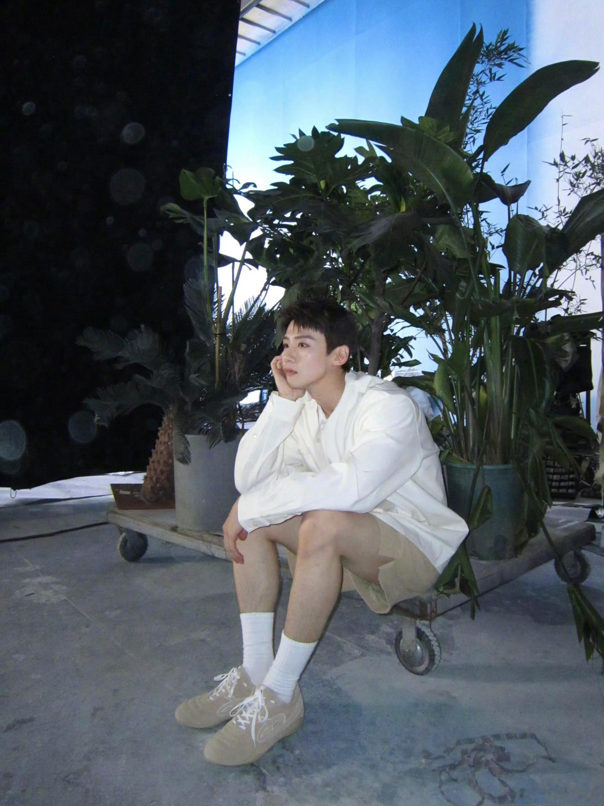 白敬亭   🕊️白敬亭0804出道十二周年快乐 bjt白敬亭王长海“對日落有這