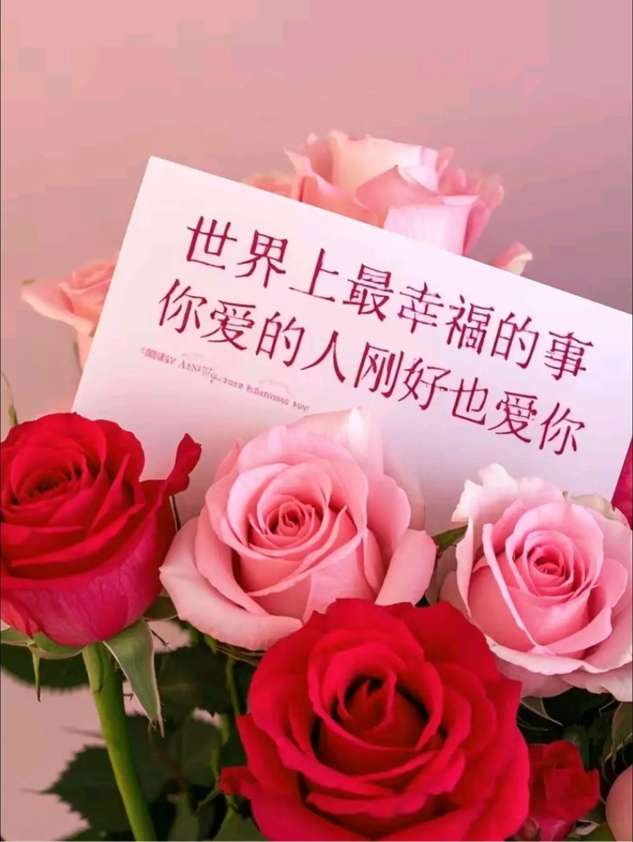 世界上最幸福的事，大概就是你爱的人刚好也爱你