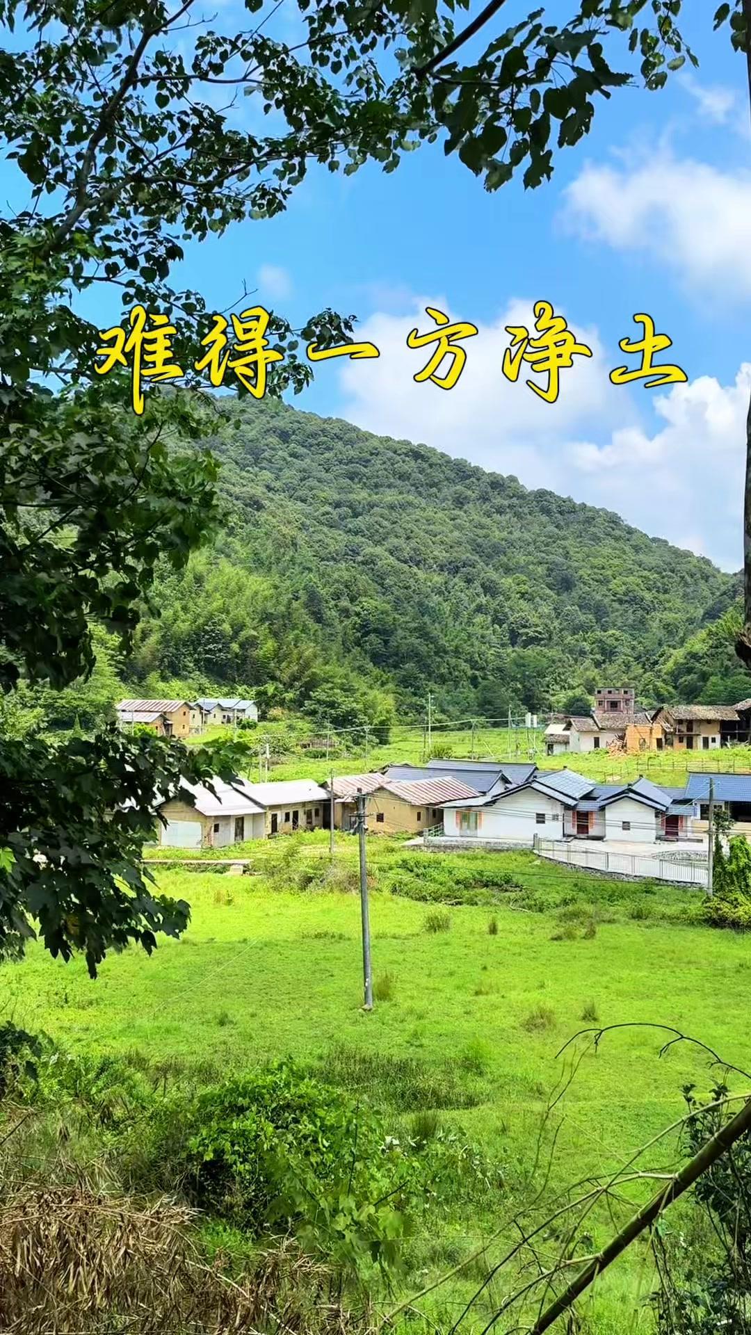 🌿这次路过久违的泥溪村，满眼都是绿意盎然。
村子远离城市的污染，风里都裹着山野