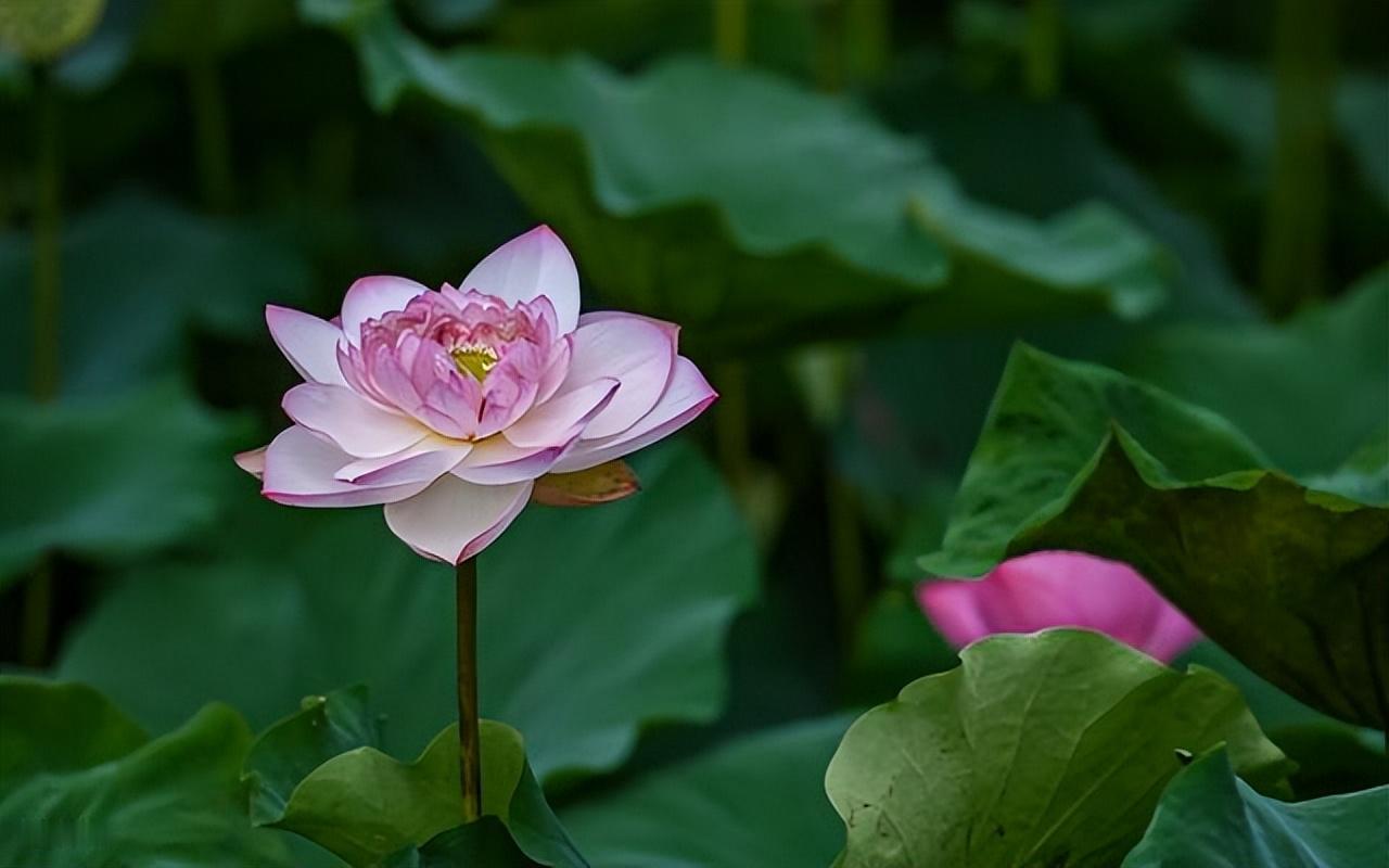 时间和钱花在哪里，爱就在哪里，实际行动比承诺更重要，想我就来见我爱我就给我花钱，