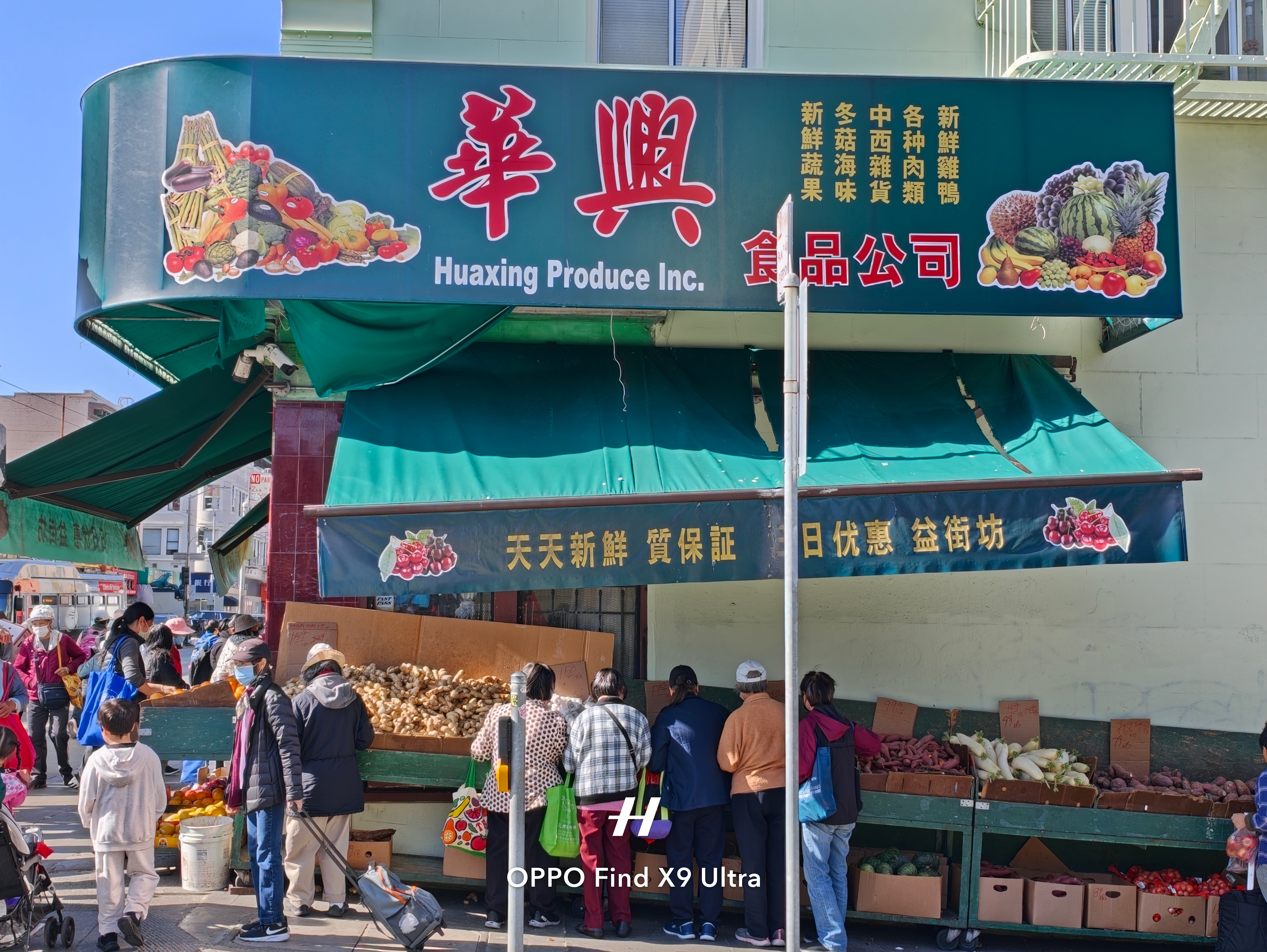 同一个地球，同样的中国大爷大妈喜欢买菜 美国·旧金山中国城 Chinatown