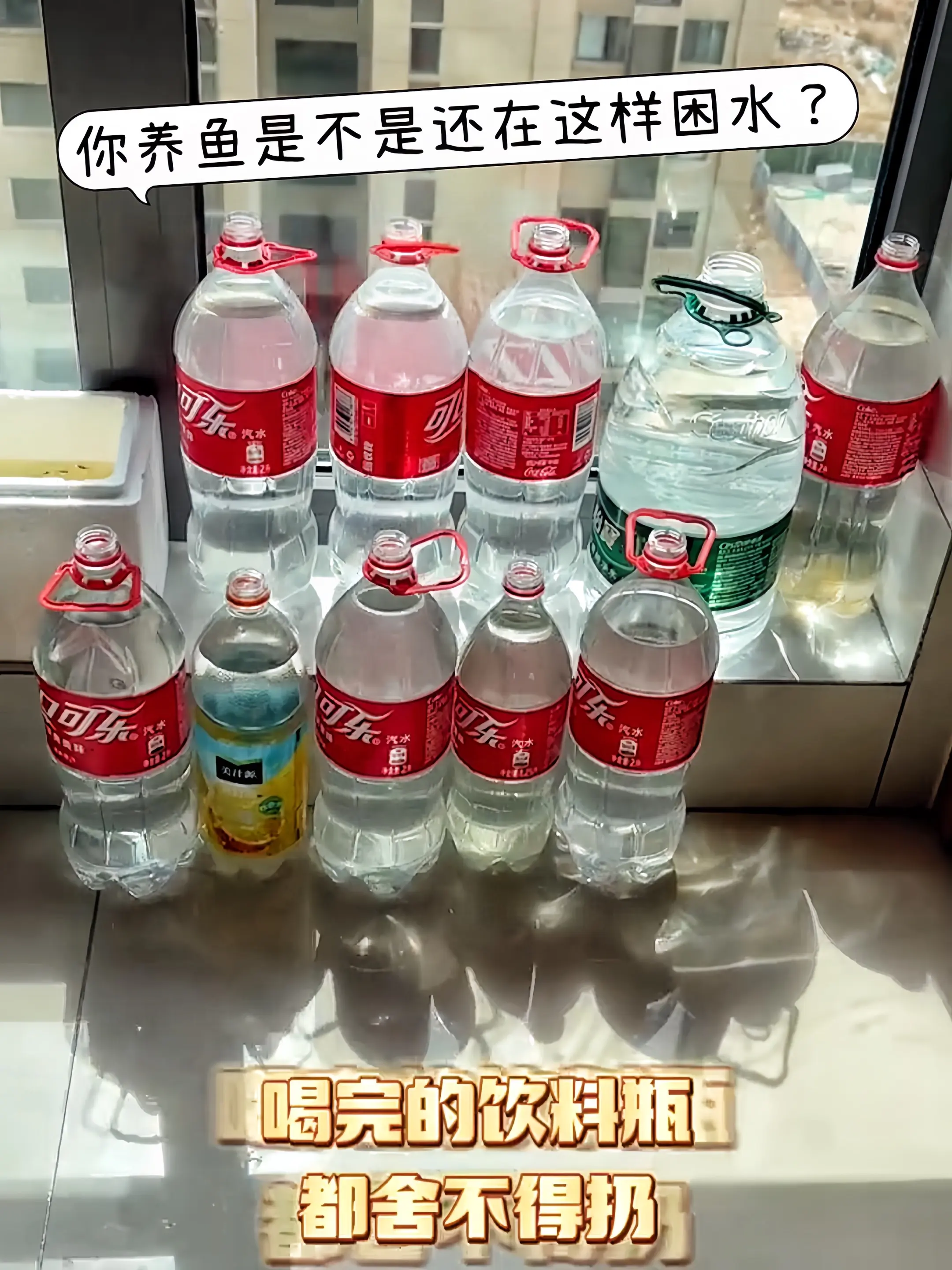 高效除氯保健康  自来水中氯气是鱼儿健康的“隐形杀手”，侵蚀鱼体粘液层...