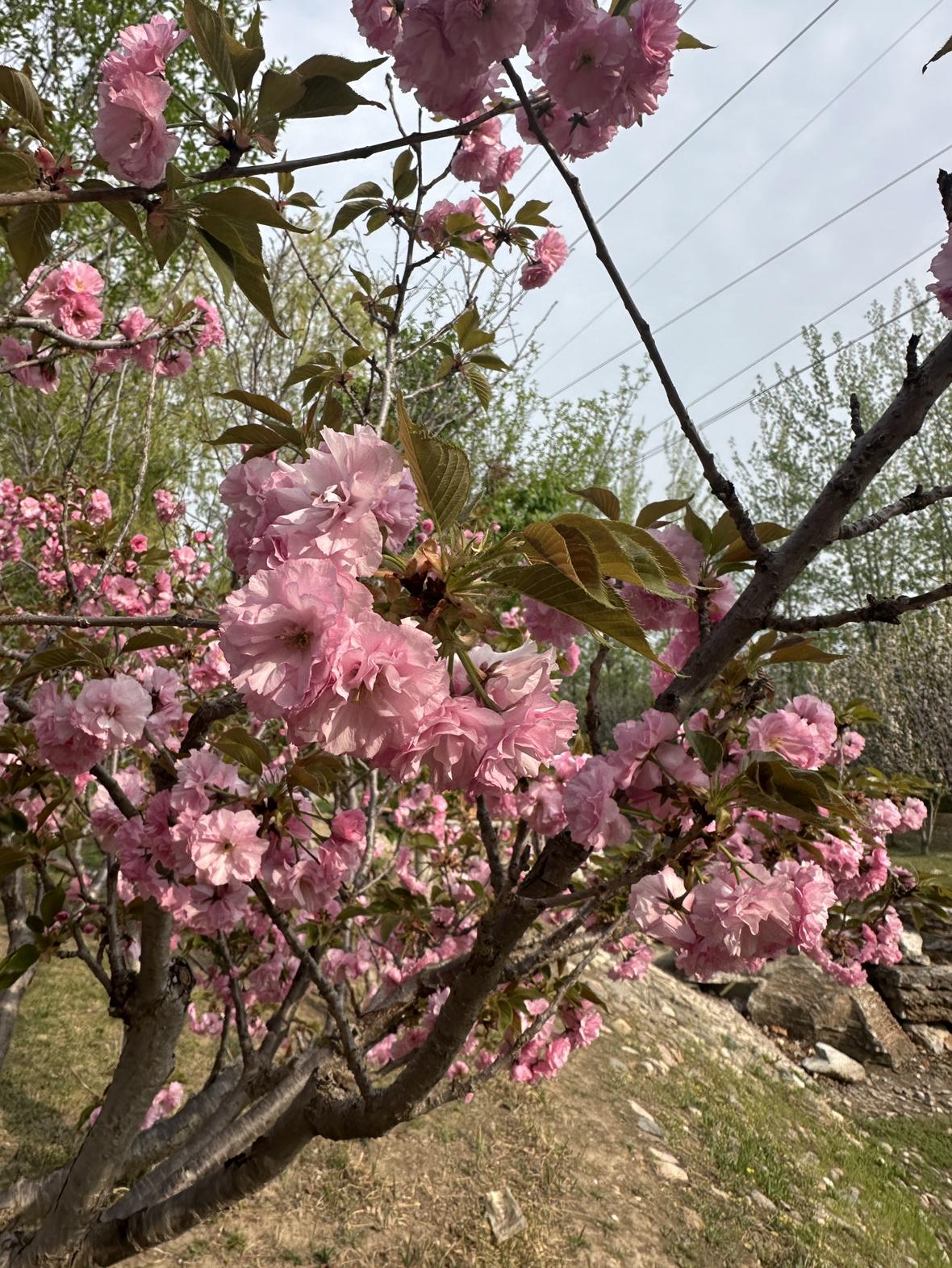 我的今日状态：😁轻松愉快
我这里的天气：🌧下雨