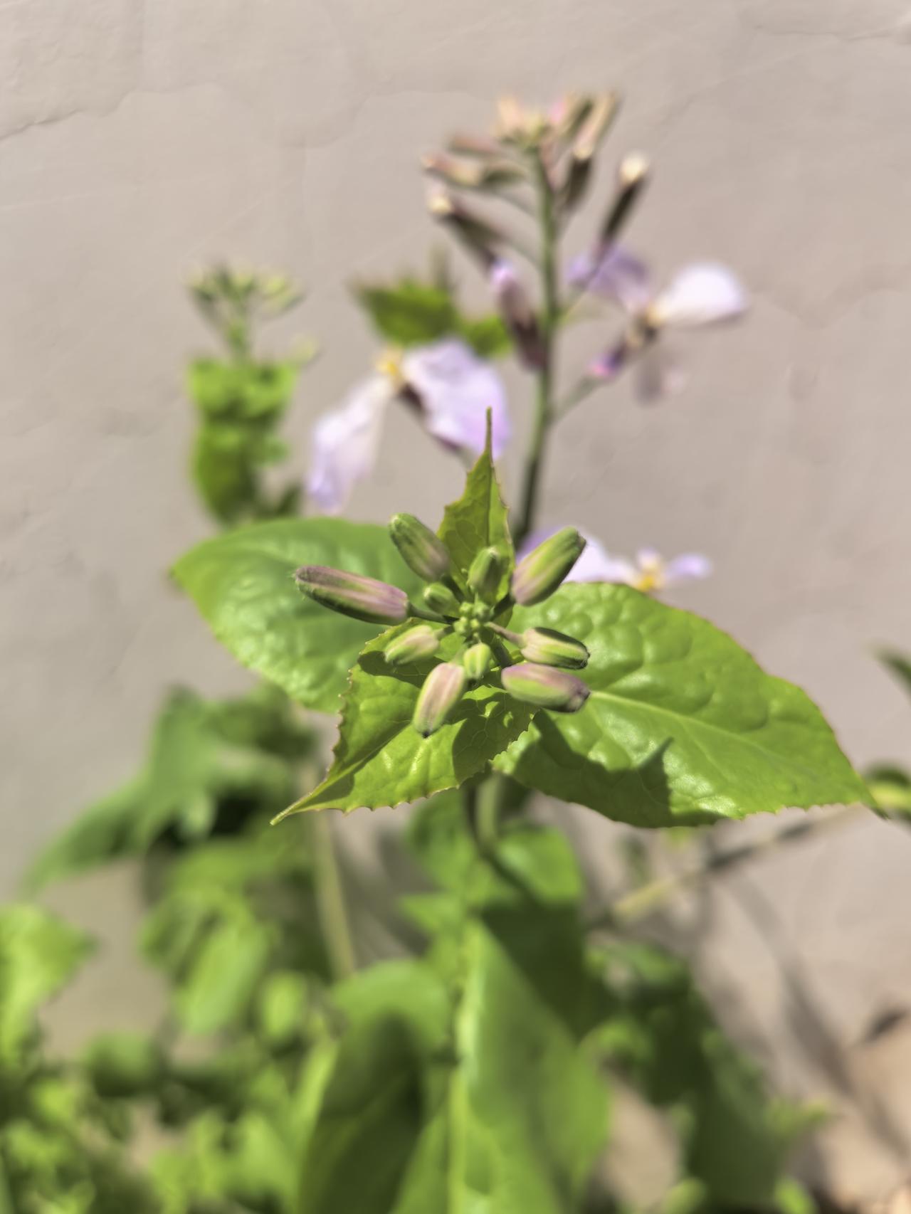 最喜欢的季节。