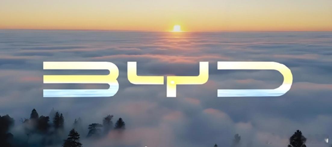 王传福称比亚迪将发布重磅技术 12月5日获悉，比亚迪今日在深圳总部举行了临时股东