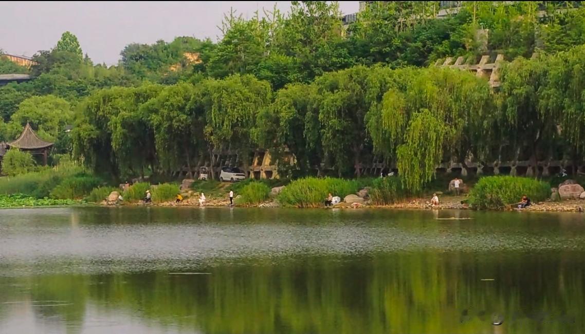风是自由的，我也是
 
山野万里，清风无拘无束，穿越山海、掠过四季，不为谁停留，