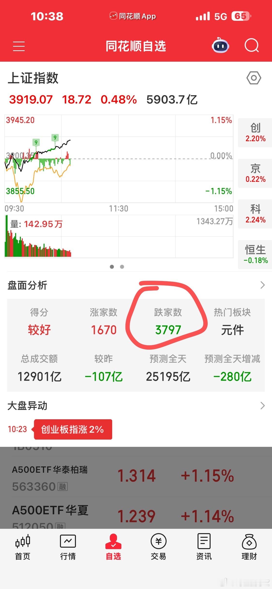 又是躺平的一天，净值新高📈 