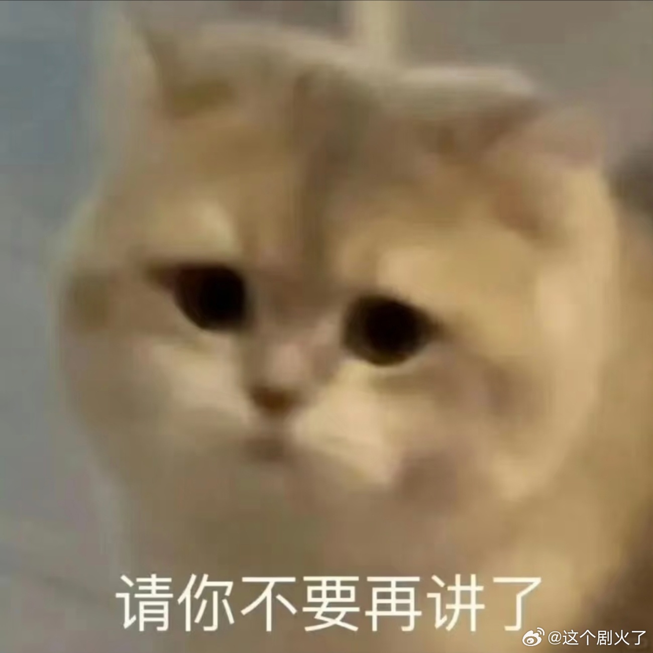 可爱表情包。 
