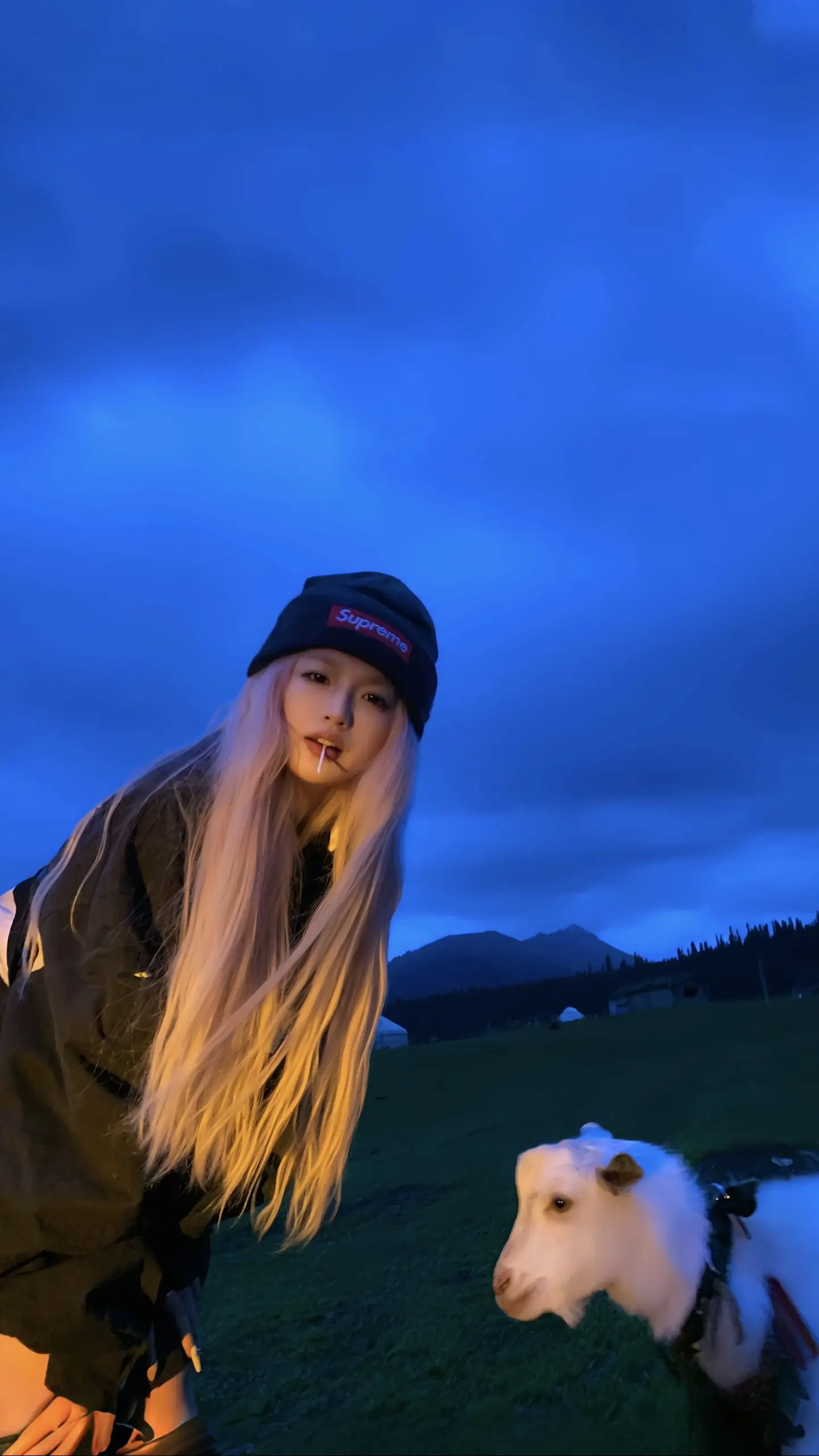 对不起小羊 你长得有点好吃。