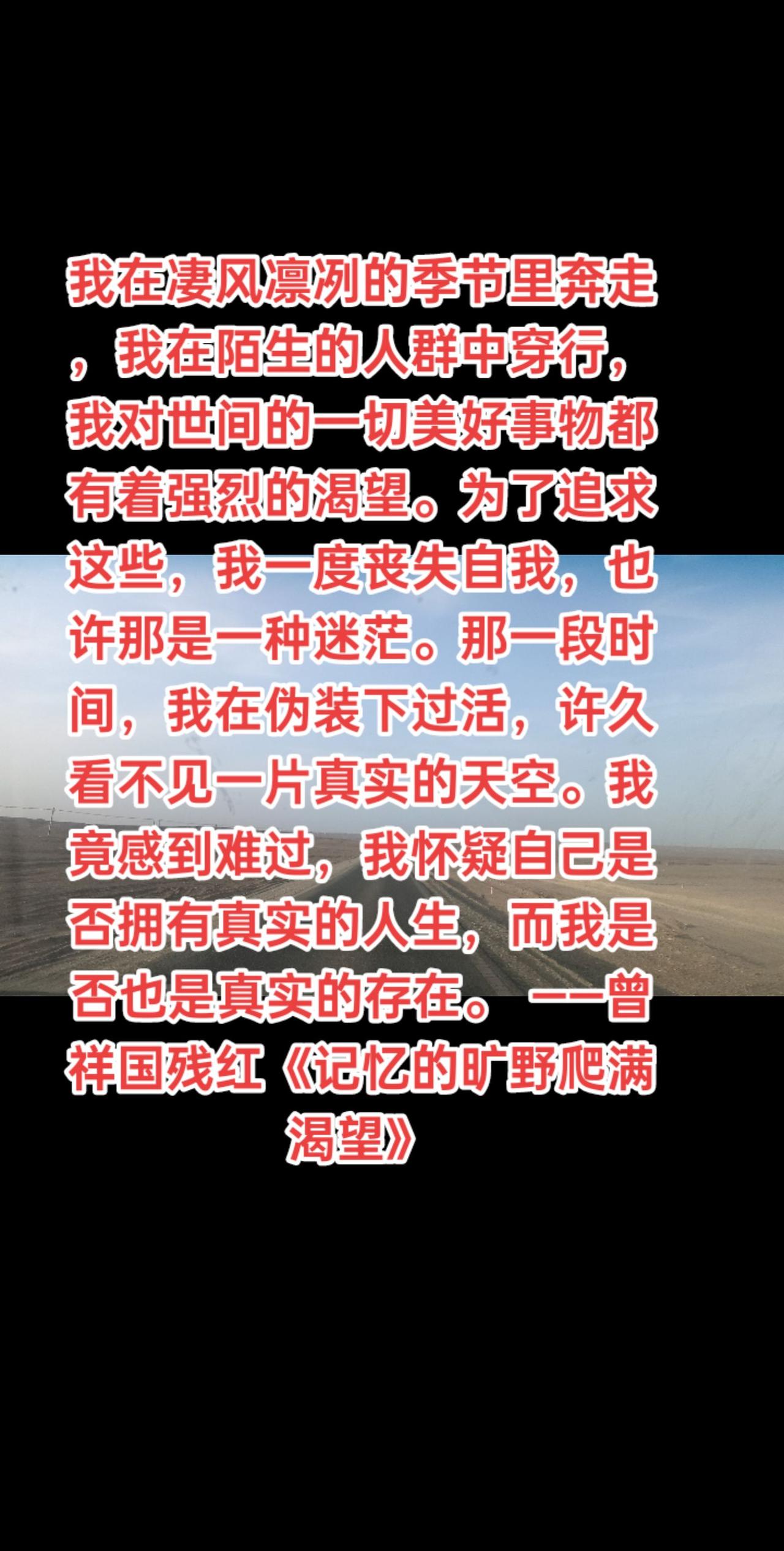 我在凄风凛冽的季节里奔走，我在陌生的人群中穿行，我对世间的一切美好事物都有着强烈