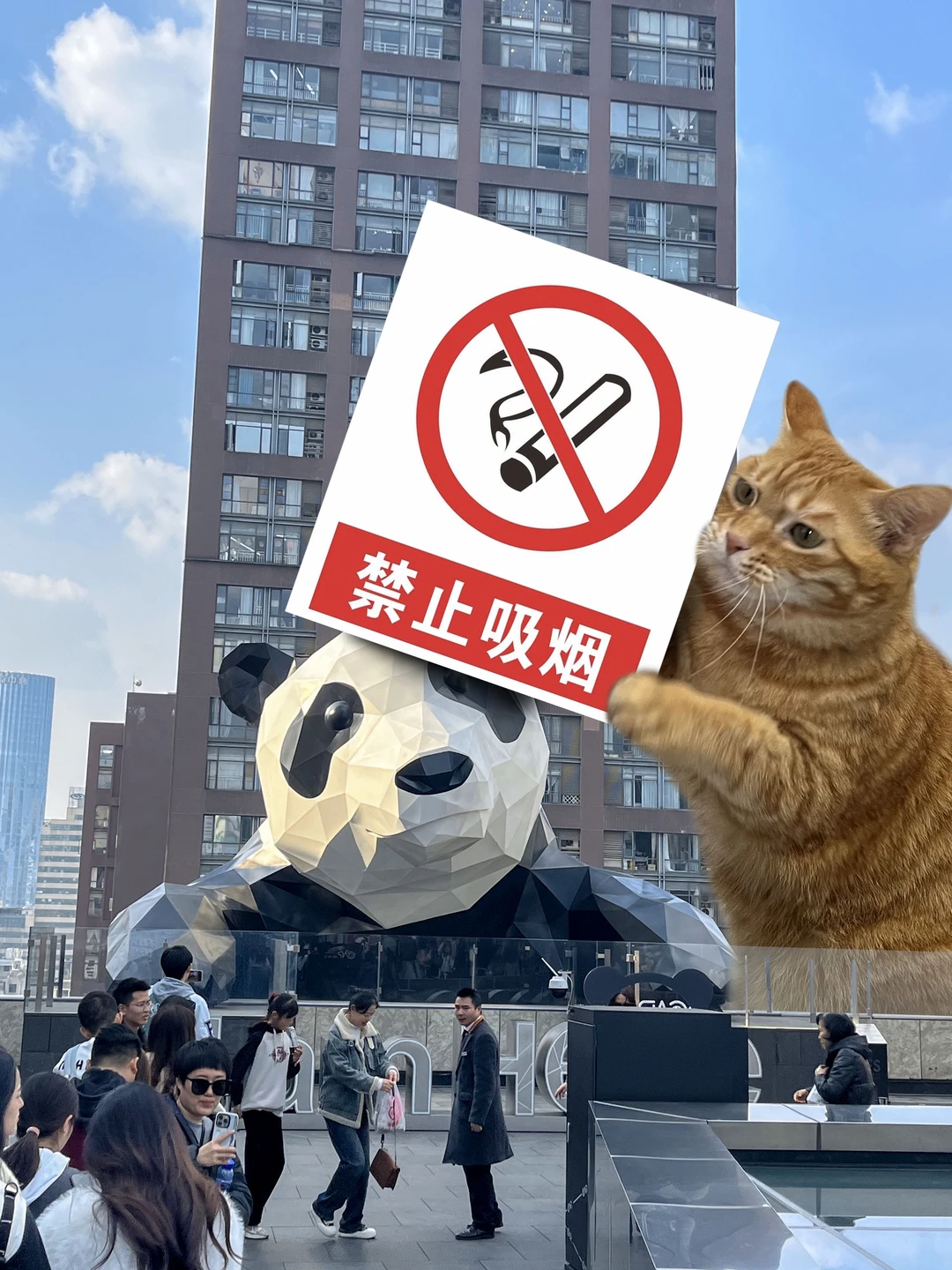 成都，别让我失望哈👌