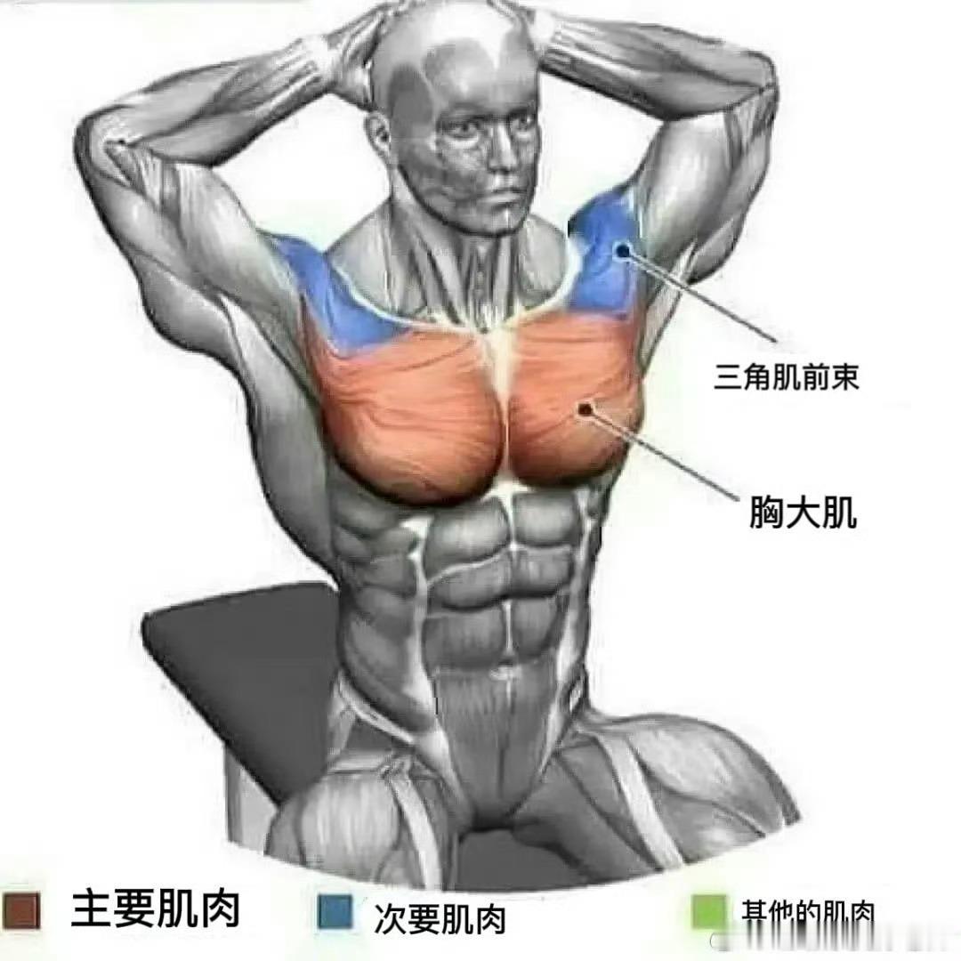 熬夜看球如何避免身体负担【全身肌肉拉伸】不论是久坐办公，还是熬夜看球，通过轻柔适