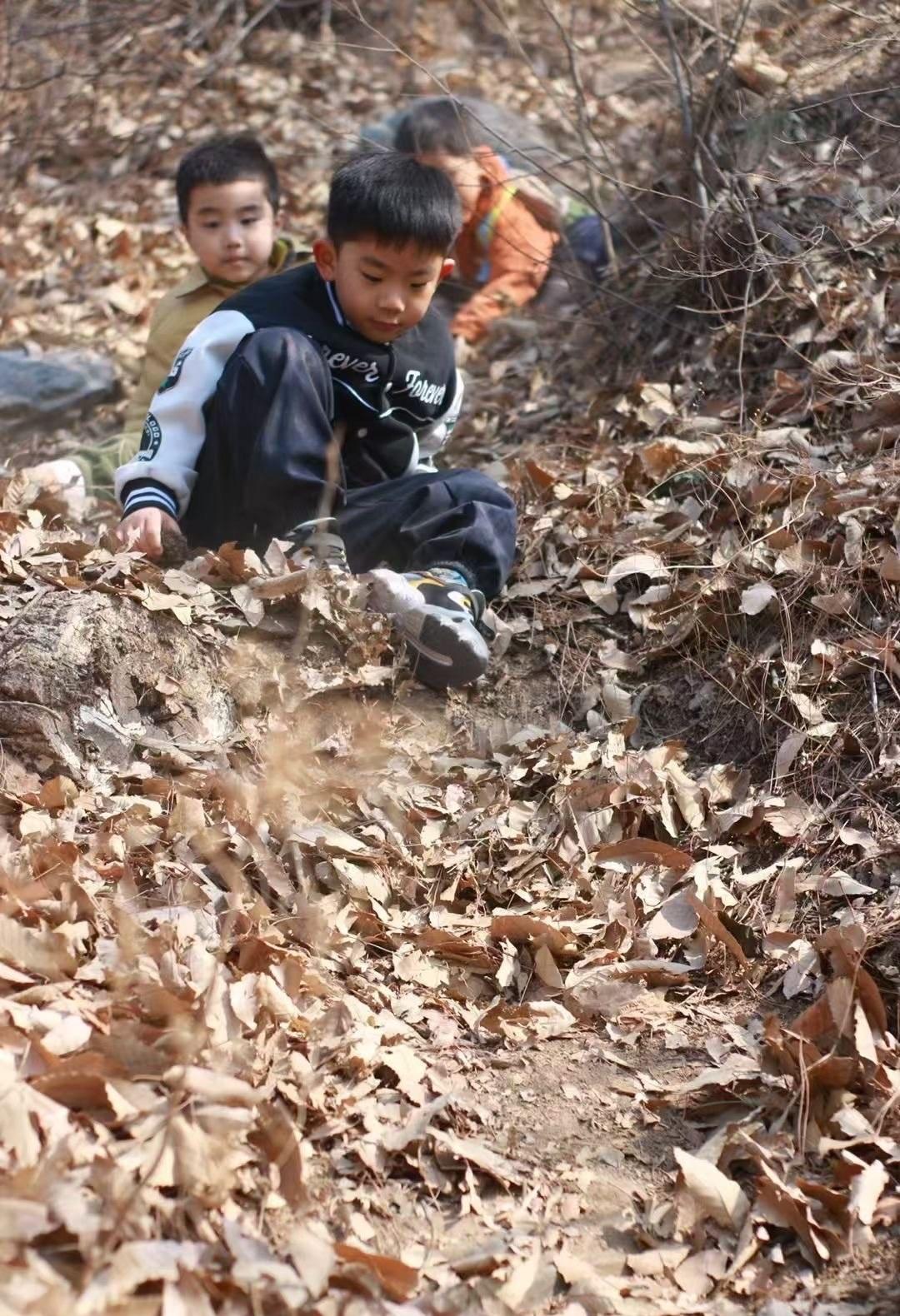 免费遛娃好去处
📍朝阳 
0元玩转这座城秋天🍁到了！树叶都变黄了！来到大山里