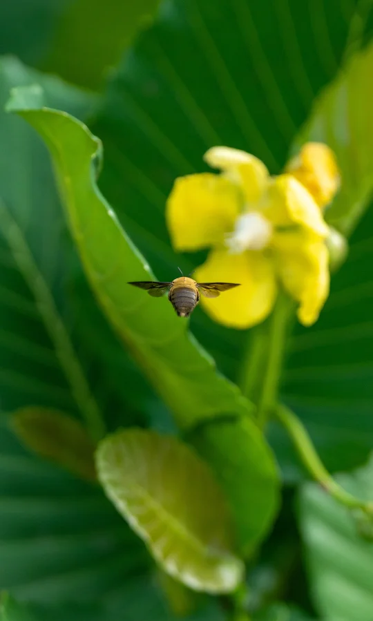 🇸🇬 随便拍拍