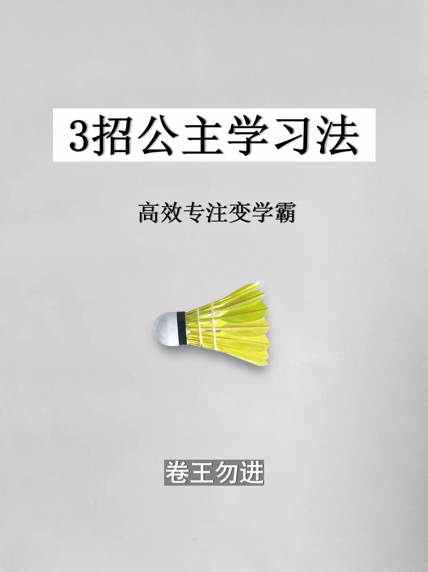 学习方法-3招公主学习法。