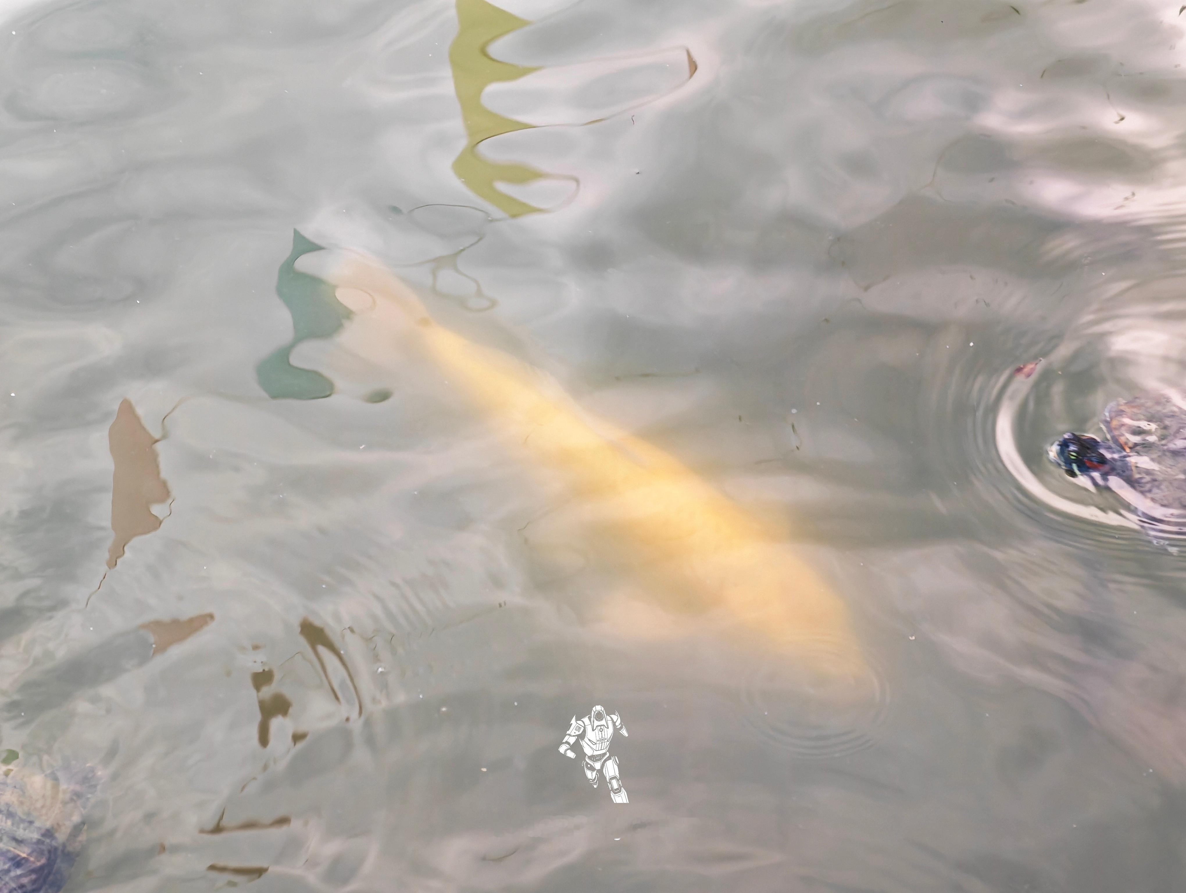 7 月 1 日 漳州