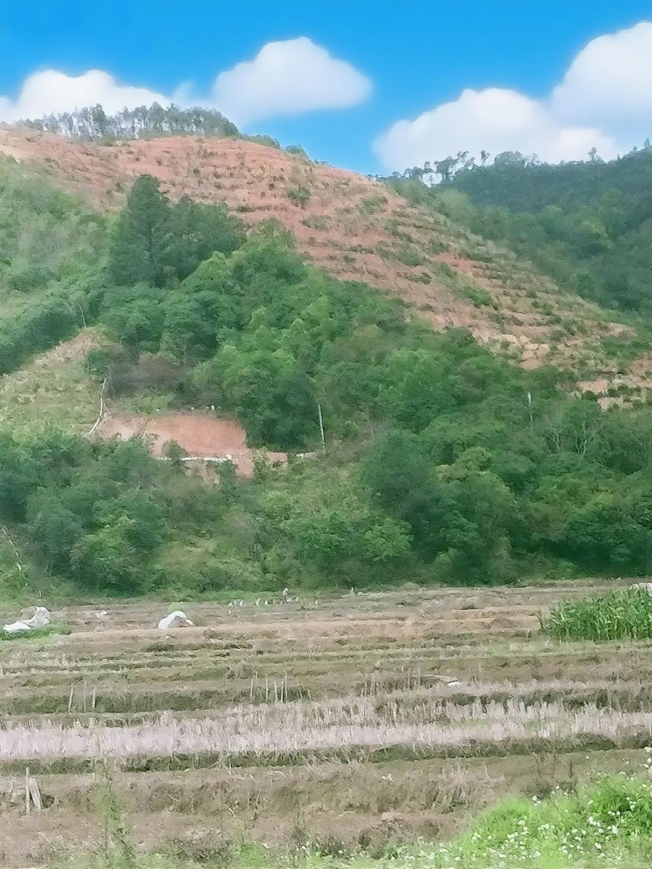 王字去一笔你首先想到的是什么字?王字去一笔，你首先想到啥？
 
有人脱口而出“土