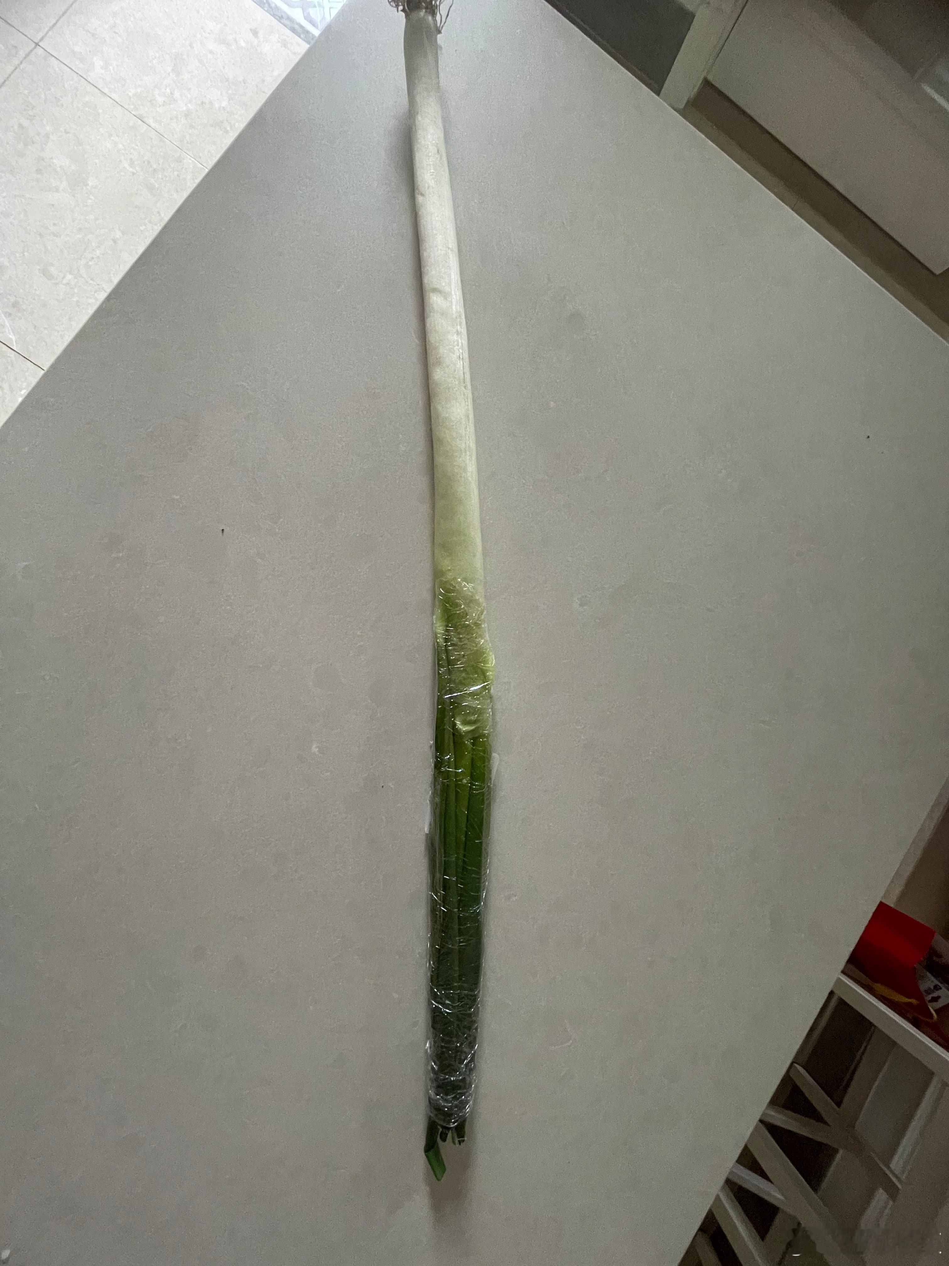 蛇年的年味的确有点淡，今日初五了，早上没有听到鞭炮声，当然可能与“禁放”有关，大