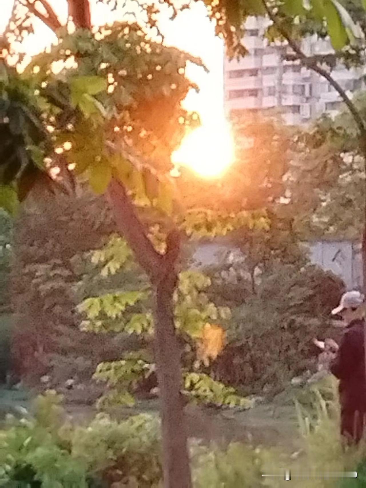 人的一生最大的财富是什么?人的一生最大的财富是健康的身体、内心的平和与深厚的人际
