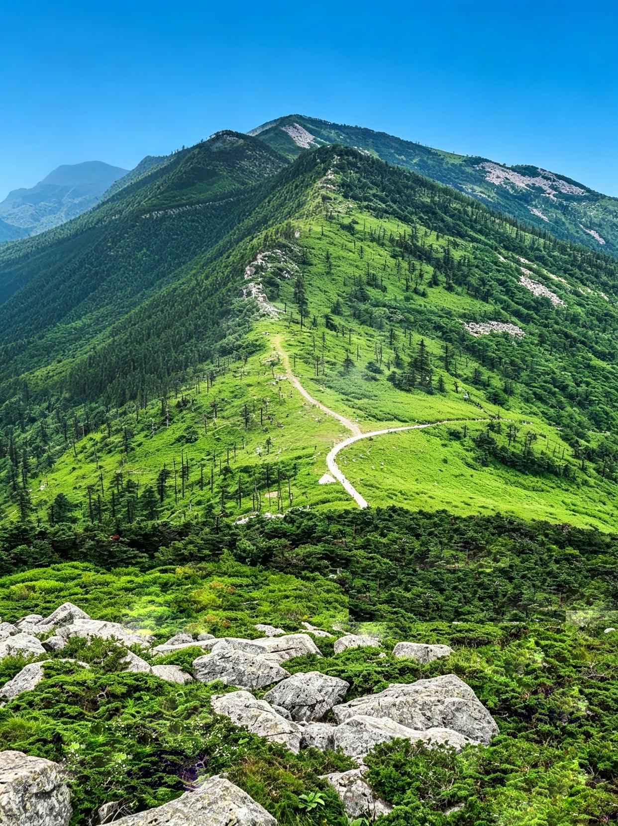 就在西安1日往返❗朱雀森林公园真的夯爆了。谁懂啊！本来只是周末随便走走...