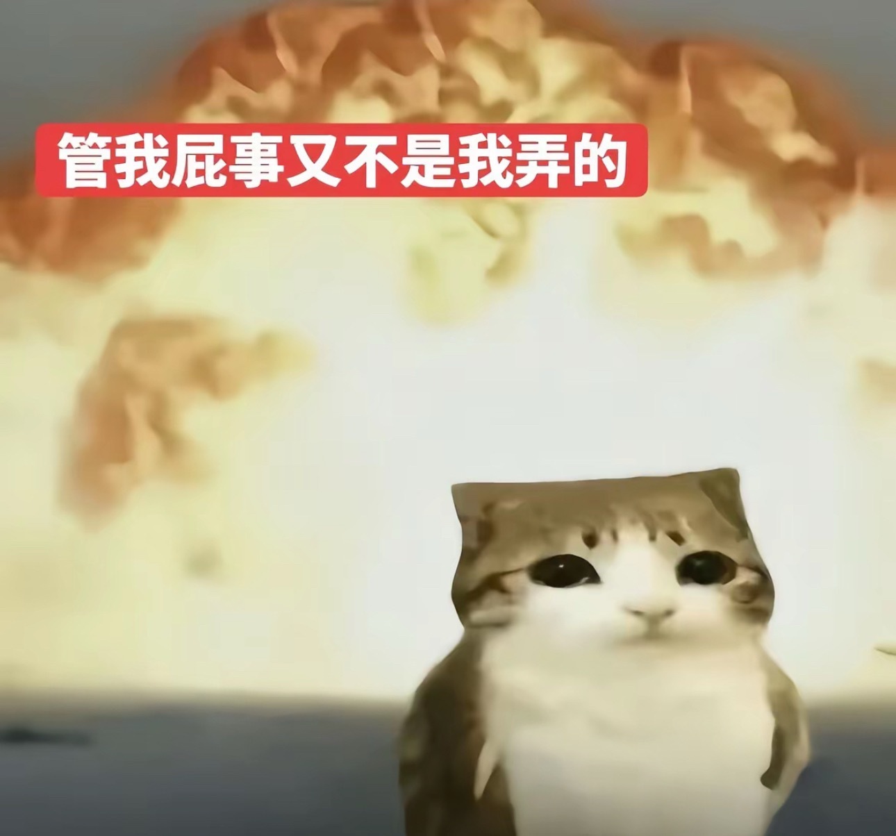 我每天在公司就这样 