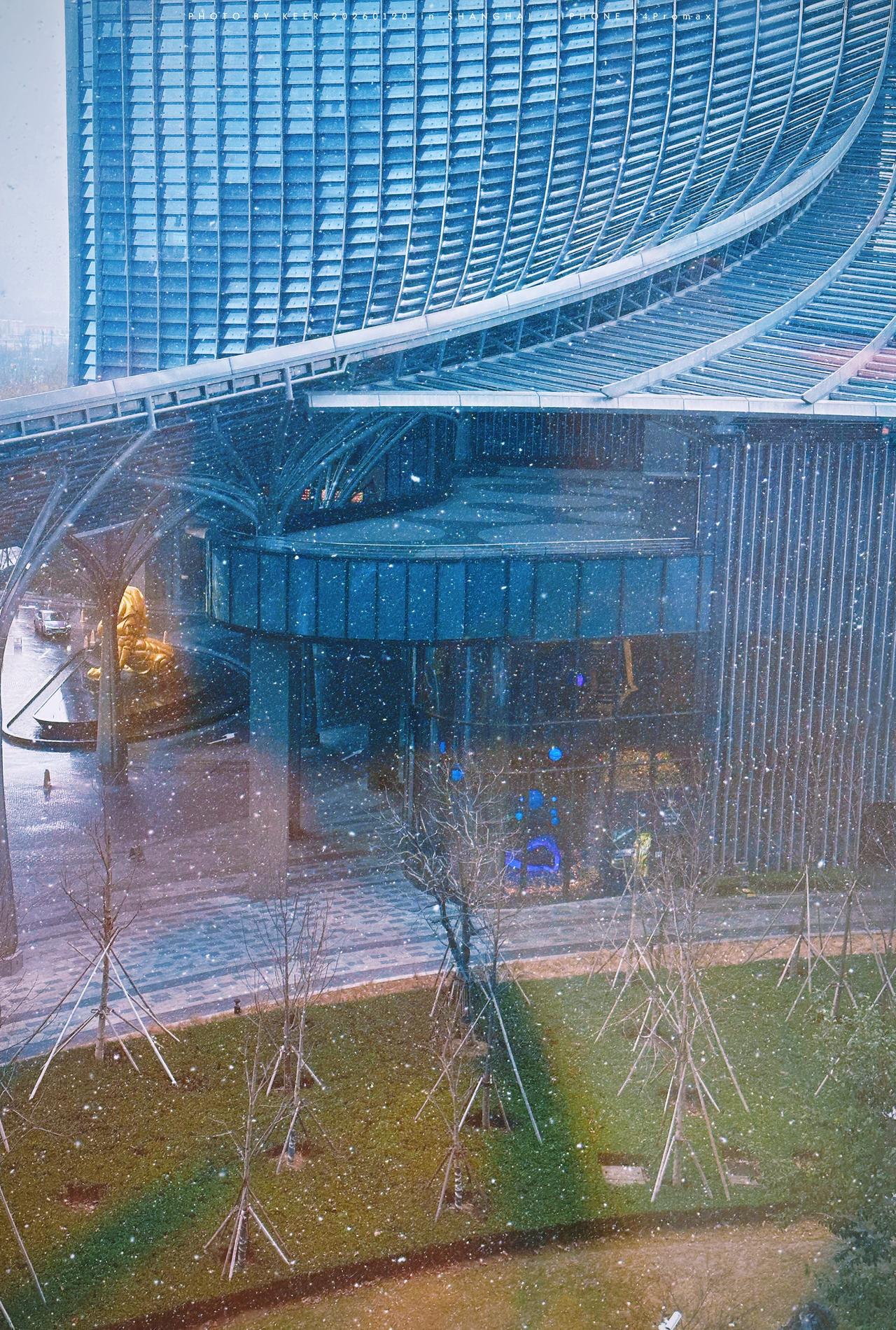 大寒❄️
听说一会儿还有一场雪？
日常分享生活手记  ​​​