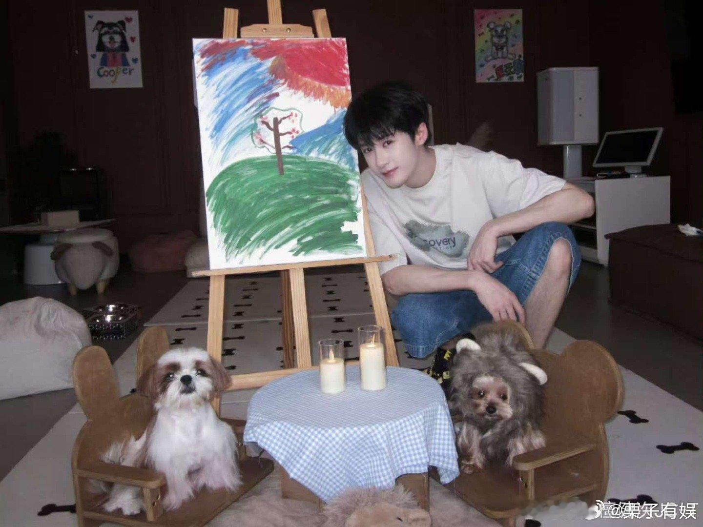 檀健次为小呆呆小球球庆生檀健次晒狗狗庆生照檀健次为小呆呆小球球庆生，小呆呆小球球