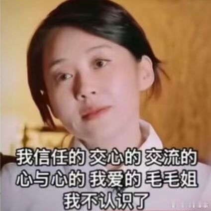 许晴毛阿敏应该上再见朋友别的嘉宾先放一边，许晴毛阿敏同台才是无数观众心心念念的画