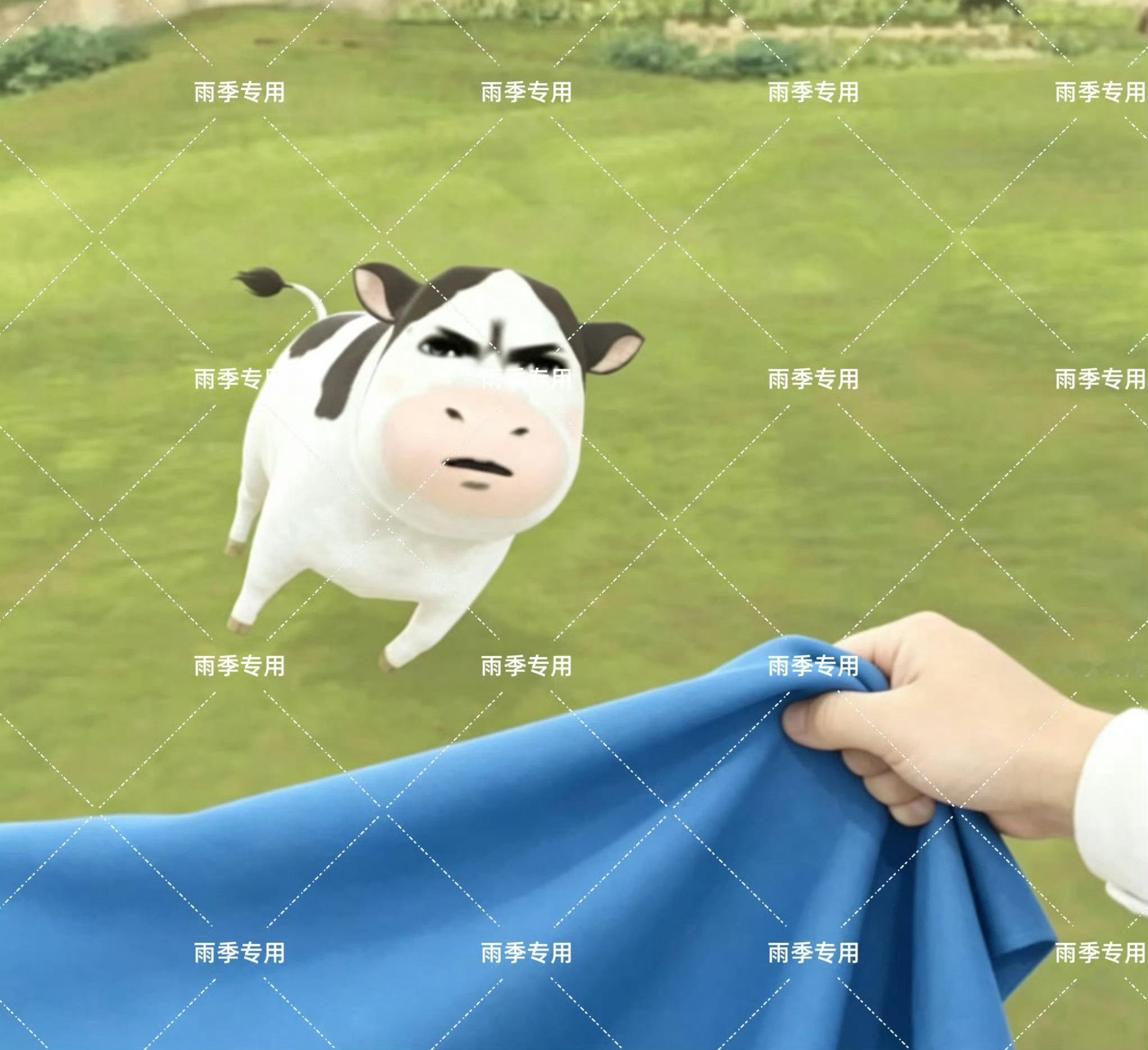 不要让寒牛太嚣张恋与深空｜草地牛 