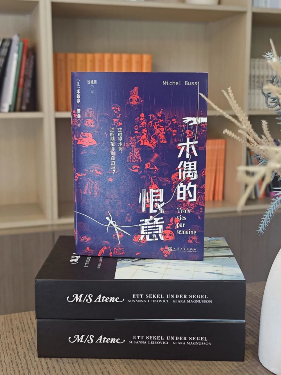 🤩太惊艳了！华丽丽的叙诡简直震惊我～