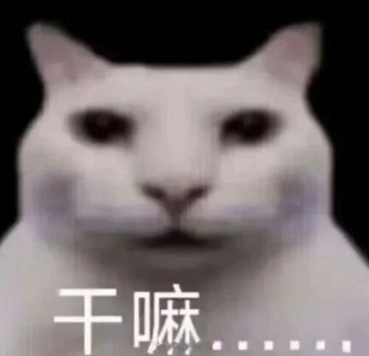 今晚一定早睡...我发誓好吧😊 
