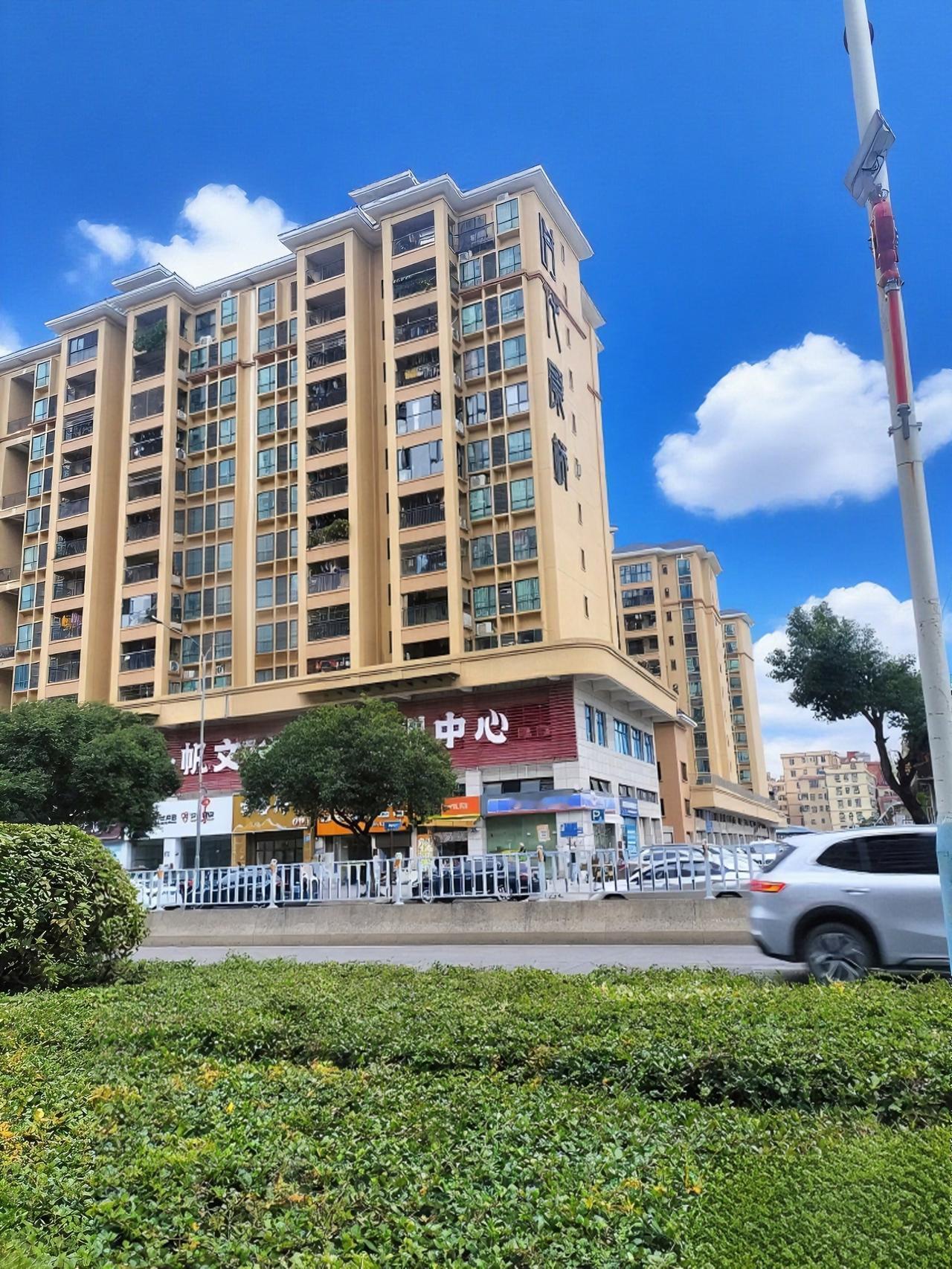 冬日生活打卡季