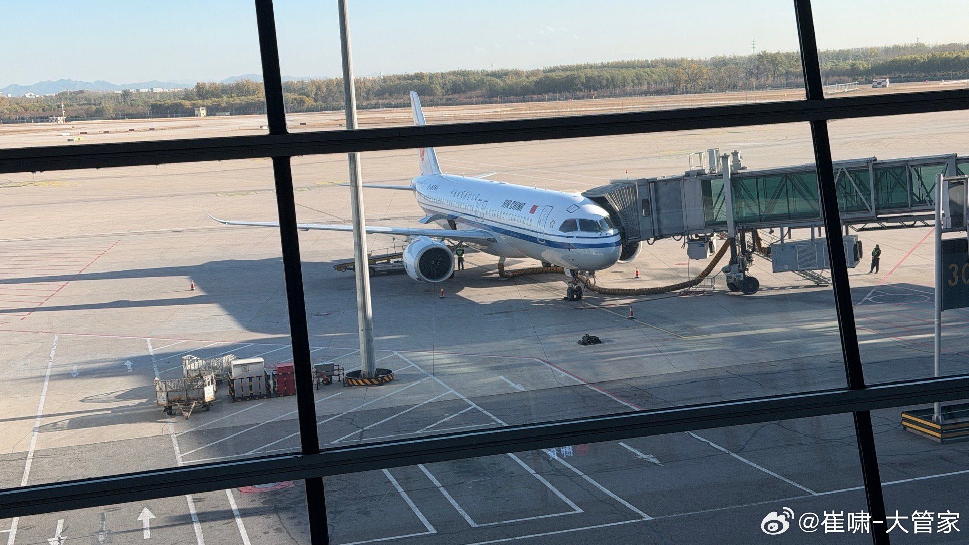 本牛马的今日坐骑！嗯[不愧是你]919  ​​​