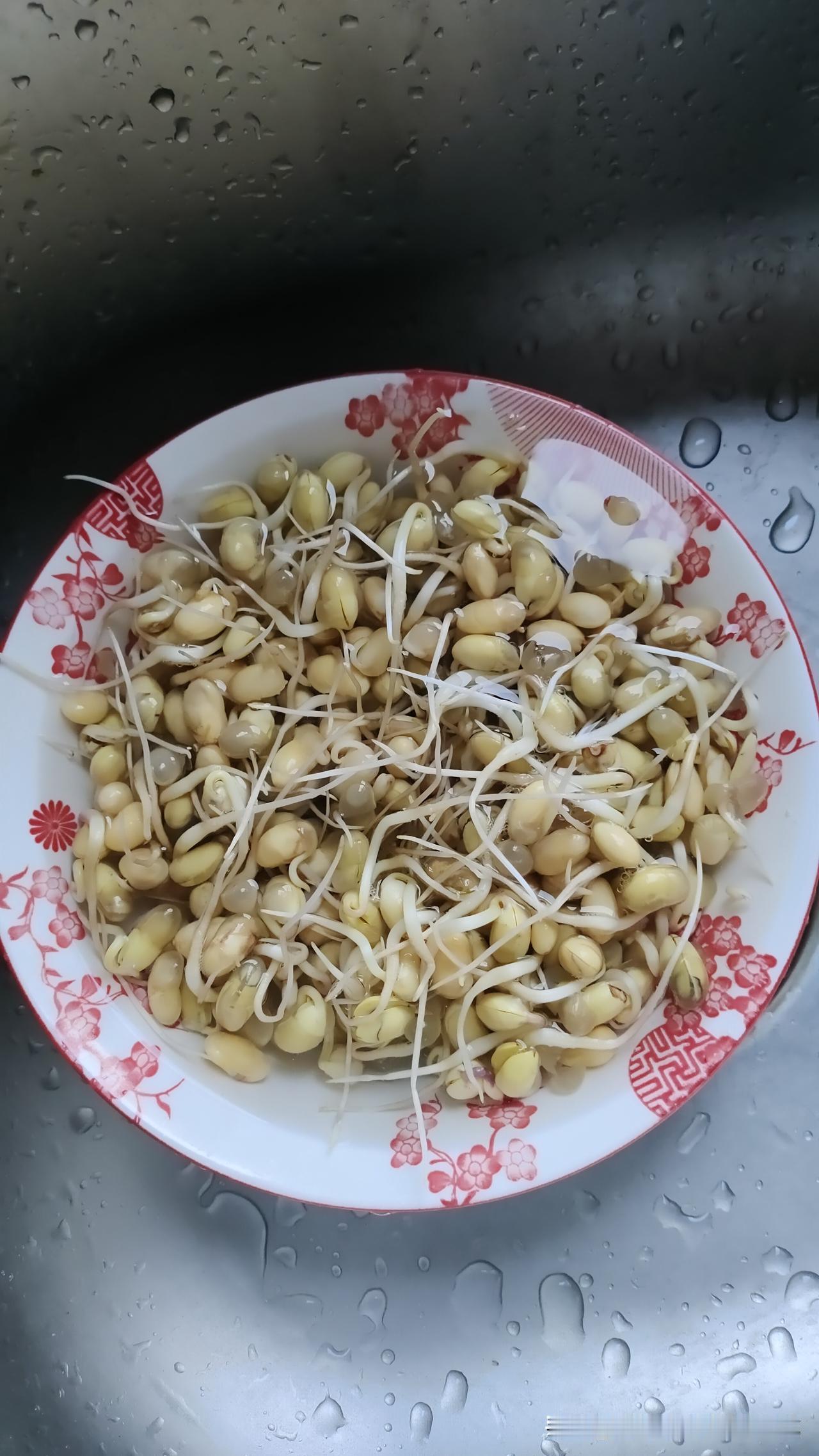 上次用黄豆发豆芽，豆芽没发好，黄豆还臭了。
我怀疑黄豆不好，在网上买了一斤土黄豆