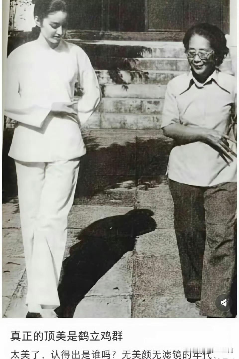 果然顶级美女的美是老照片都挡不住的。 ​