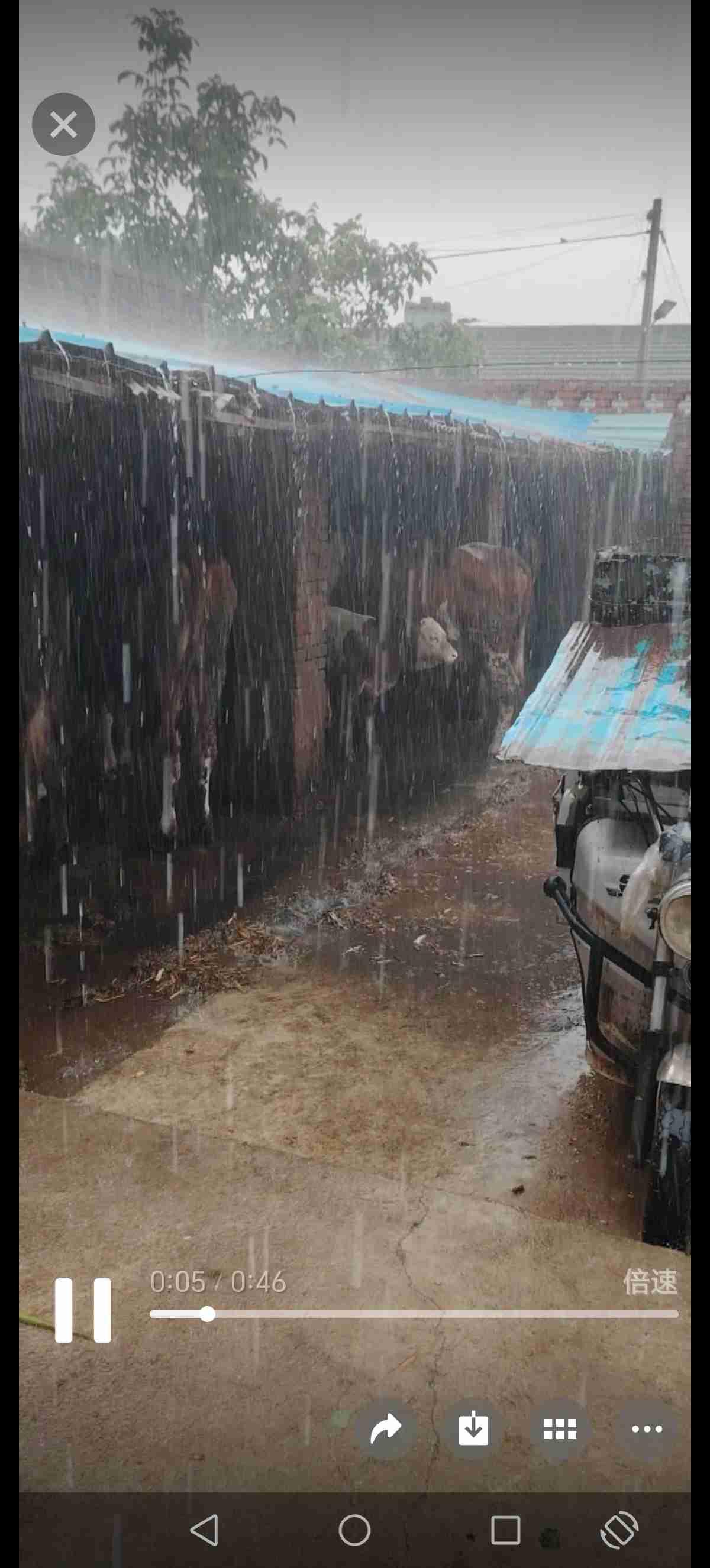 我的今日状态：💪🏻充满干劲
我这里的天气：🌧下雨