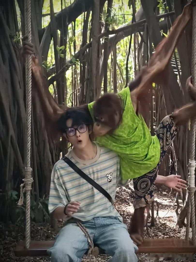田嘉瑞来了动物园也得集邮 田嘉瑞逛个动物园都能集邮通关，这架势像极了旅行博主打卡