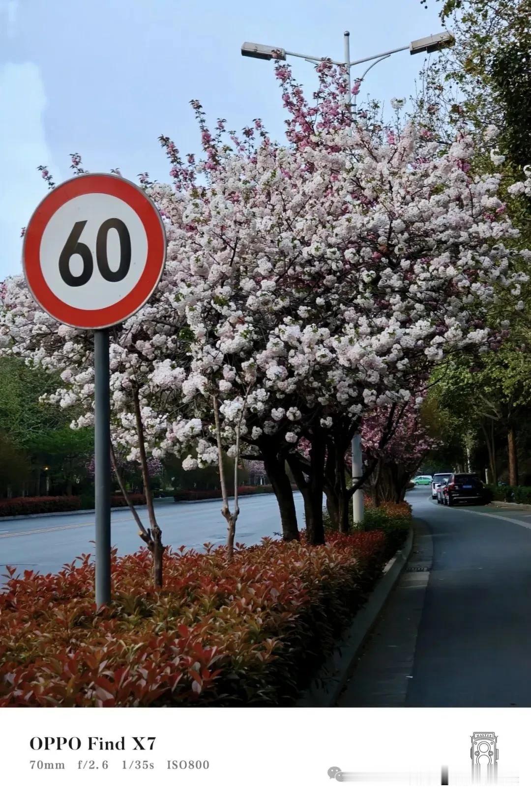 人生岁月60码，到了60岁就开始开倒挡了。
人生道路60码，超速就会碰到弯道，弯