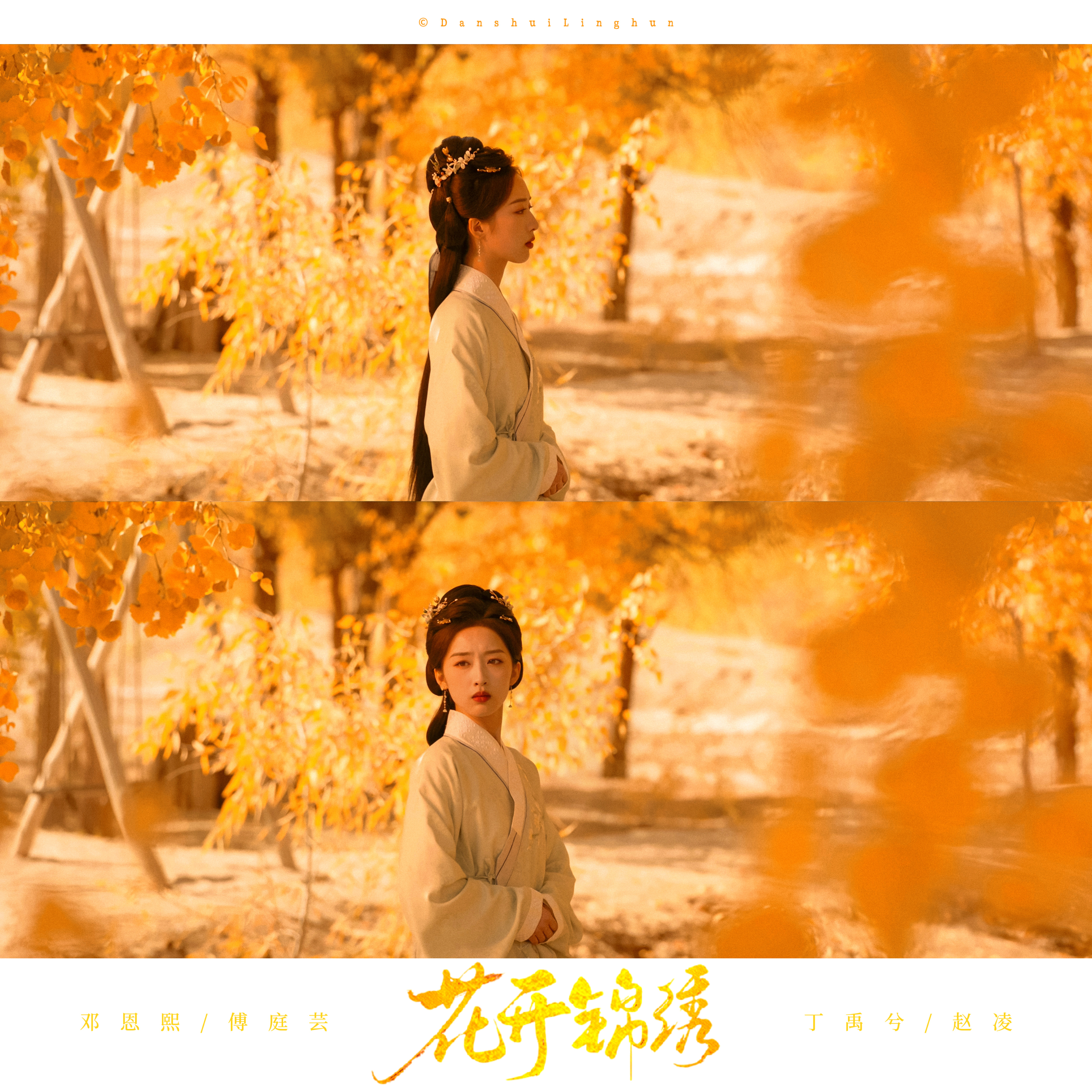 *胡杨林·花开锦绣 ·花开锦绣二创大赛