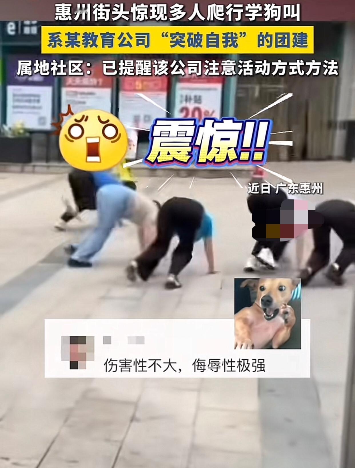 用突破自我的名义，在公共道路上让员工学狗爬并学狗叫，场面尴尬至极，把网友们都看呆