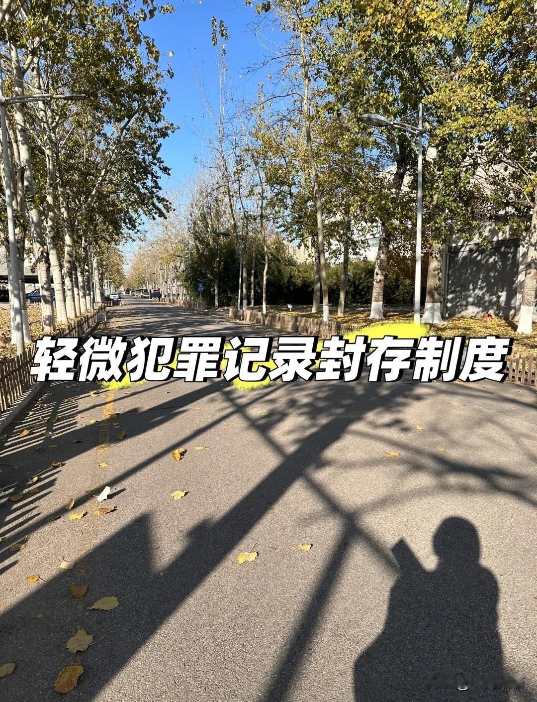 泪目了！
“吸毒者可以大摇大摆地走在街上，
缉毒者却只能默默无闻地藏在地下”
网