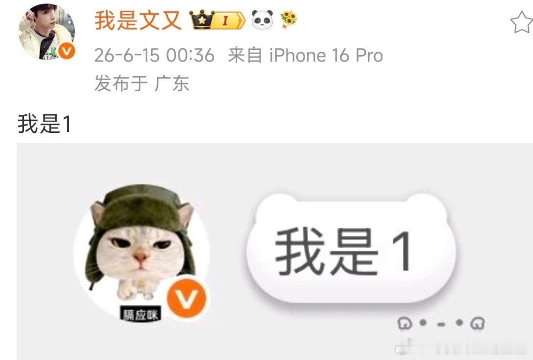 我是1 