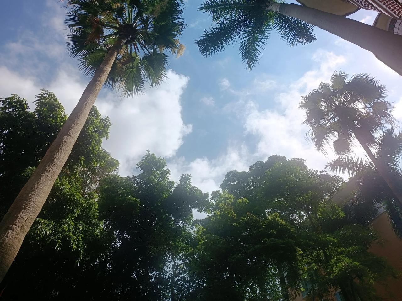 城市禁止养狗！势在必行！你怎么看！
我拍手拍脚赞成
我很讨厌养狗
有的人透狗，狗