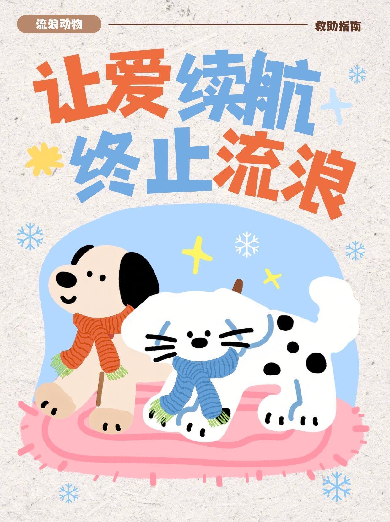 很多人搞不懂流浪动物救助有多难，看着只是喂猫狗，实际处处都是难题。救助全靠爱心人