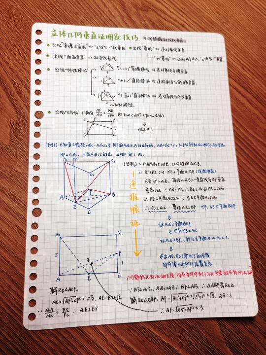 七升八｜今日学习记录📝