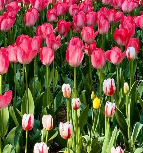 男人想女人多半是生理需求，女人想男人往往先看钱包。别杠，现实里太多关系一谈钱就露